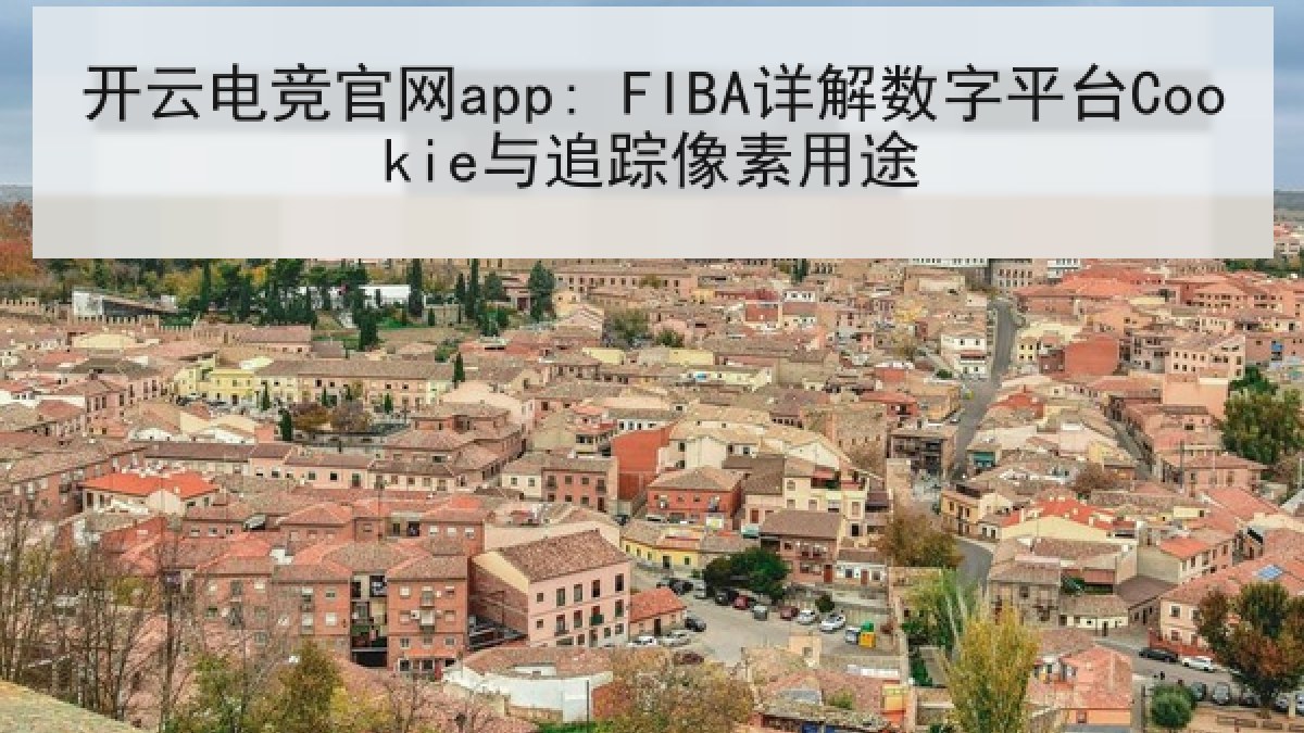 开云电竞官网app: FIBA详解数字平台Cookie与追踪像素用途 开云电竞官网app: FIBA详解数字平台Cookie与追踪像素用途
