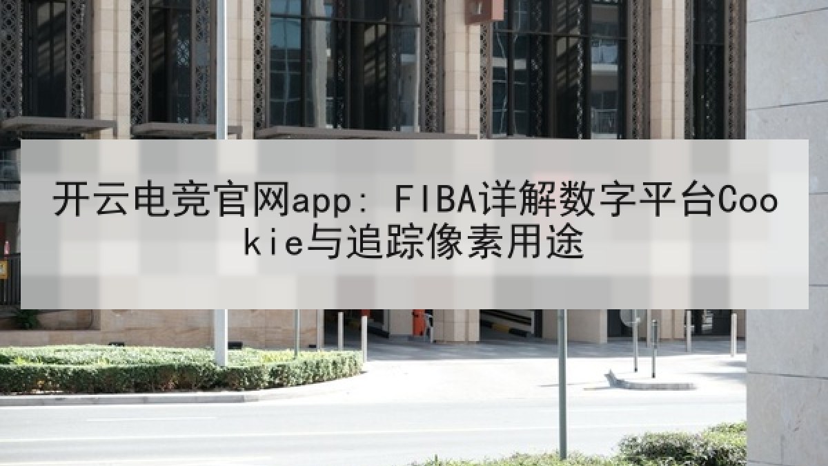 开云电竞官网app: FIBA详解数字平台Cookie与追踪像素用途
