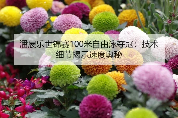 潘展乐世锦赛100米自由泳夺冠：技术细节揭示速度奥秘