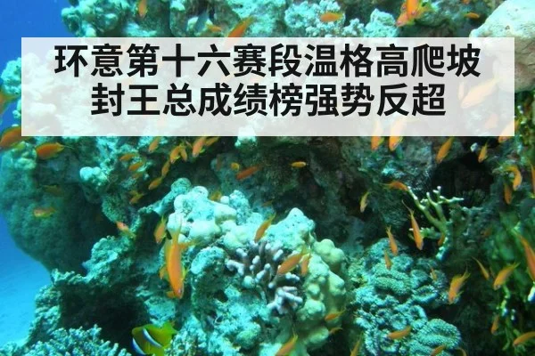 环意第十六赛段温格高爬坡封王总成绩榜强势反超