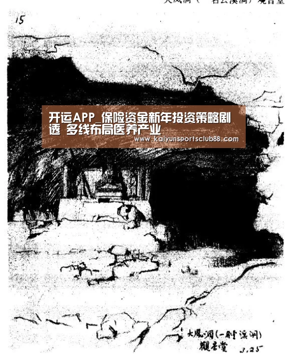 开运APP_保险资金新年投资策略剧透 多线布局医养产业(图1) 开运APP
